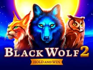 Black Wolf 2 game icon