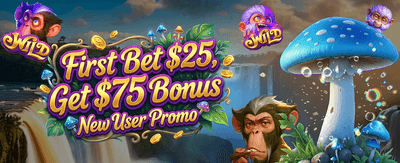 Free Spins Package